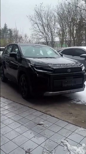 This color on the 2026 Toyota RAV4 2.0 - thoughts?