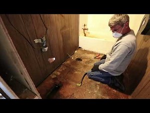 MOBILE HOME RESTORATION. It begins. Can it be saved?