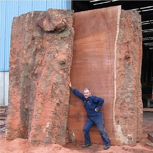 1.1M views · 5.2K reactions | Extreme Dangerous Biggest Wood Sawmill Machine Working | Beautiful Life | Facebook