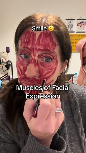 Anatomy of Facial Muscles and Nerves: Exploring Facial Expressions