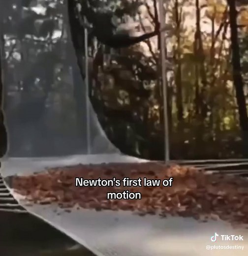 Understanding Newton's First Law of Motion