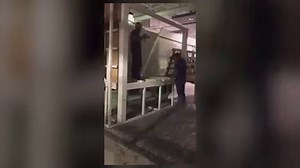 Construction is underway at Blue Zoo Spokane in NorthTown Mall! Today, the first fish went into their tank. Get ready to experience this interactive aquarium when it opens this summer! Visit their Facebook page here: https://bit.ly/2UWoNpK | 4 News Now