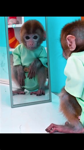 Engaging English Cartoons for Kids Learning