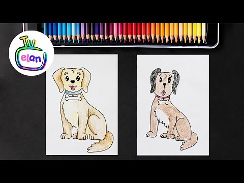 Jak nakreslit psa | How to draw a dog 🐕