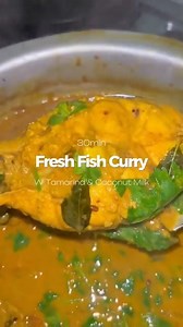 28K views · 1.4K reactions | Fiji Style Fresh Fish Curry with Tamarind and Coconut Milk! Note - Parrot Fish are so important for the ocean and help by eating dead coral and the Bump-head species of parrot fish is listed as endangered in IUCN and you can be fined/jailed for fishing them. This is ulavi so while not illegal, its best to not eat them and i won’t be buying it again. Also, please use less tamarind than what i did  #fijiliving #fishcurry #recipe | Shania Singh | Facebook