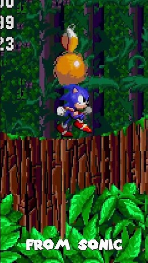 The ULTIMATE Sonic Rom Hack!