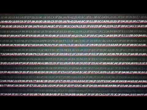 Blockchain Mania. Infinity code file.