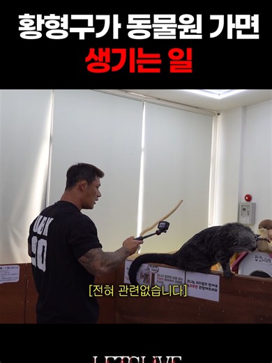 친구들을 보러 간 황형구 #동물영상 #수달