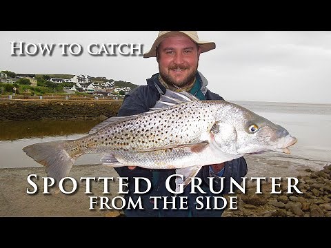 How to Catch Spotted Grunter from the side - Conventional Fishing Tips and Techniques