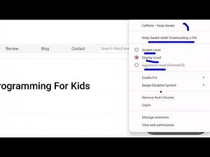 Caffeine Keep Awake Google Chrome Extension – Prevent Your Computer from Sleeping