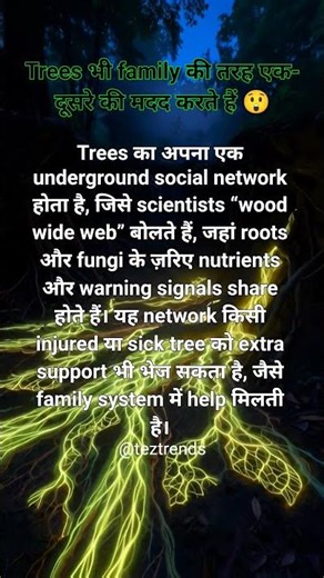 पेड़ों का अपना Internet 😲 | Wood Wide Web Explained 🌳 | Amazing Nature Facts