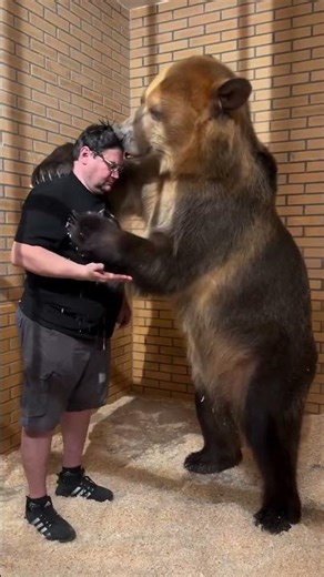 Heartwarming Bond with Bear Savva | A Story of Love and Care 🐻💞