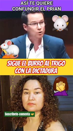 ANDREA CHAVEZ BARRE Y TRAPEA CON CANALLIN, PRIMERO QUE APRENDA A LEER #new #politics #amlo #mexico