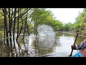 SAMBARAN GANAS DARI BAWAH POHON POHON KECIL