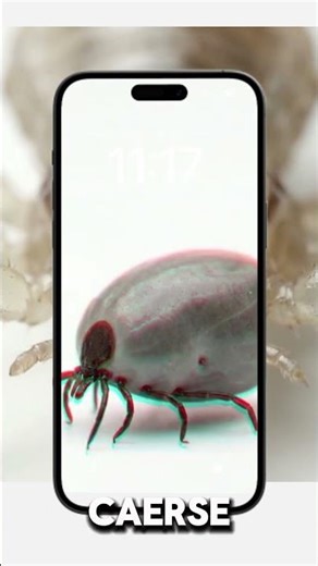 This is what insects' faces look like in close-up 😳