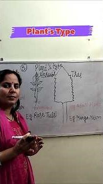 Types of plants #kidseducation