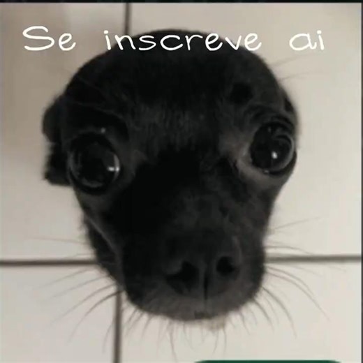 ~「Itadori Edit」~{Edit de Teste de zoom}#anime#itadoriyuujiedit#edit#fyp#viral#nflopa#song