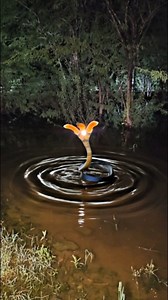 Sk Haunted Vlogs Official on Reels