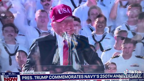 LlewCleaver (@llewcleaversnr)’s videos with original sound - LlewCleaver