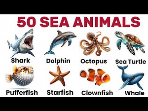 Sea Animals | Learn 50 Sea Creatures Names in English | Ocean Animals Vocabulary #seaanimalsname