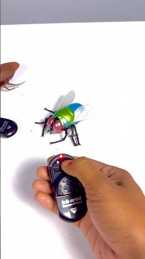 Remote Control Simulation Housefly vs Cockroach Insect Bug Remote Control Electric