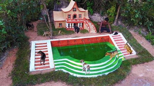 Building the most beautiful pool for our puppies
