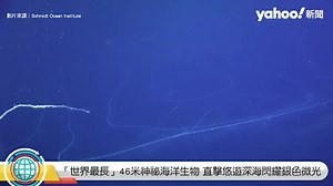 「世界最長」46米神祕海洋生物 直擊悠遊深海閃耀銀色微光