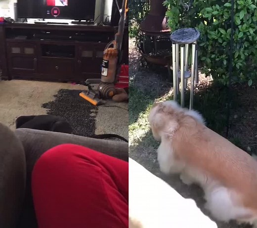 #duet with @bleubrown