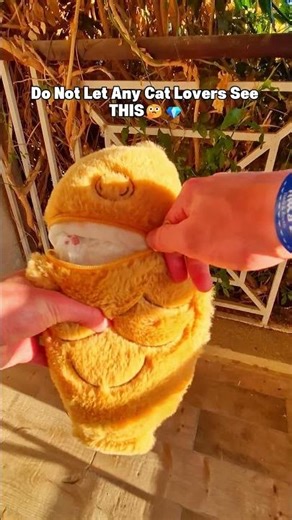 I Found The Cutest Cat Plushie!😺💖