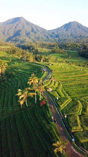 23K views · 22 reactions |  Jatiluwih Rice Terrace, a UNESCO World...