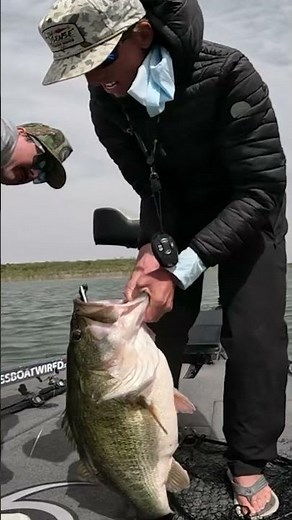 16-Pound Bass Caught on the Panorama #6thsense #6thsensefishing #bassfishing