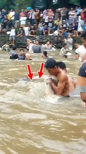 Traditional Netfishing ! | Natural Fishing