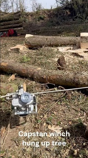 Eder Capstan winch used to roll out a hung up tree, works very well and easy to set up...#training