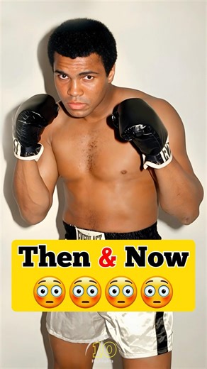 World TOP 7 Legendary Boxers Of The 1970s