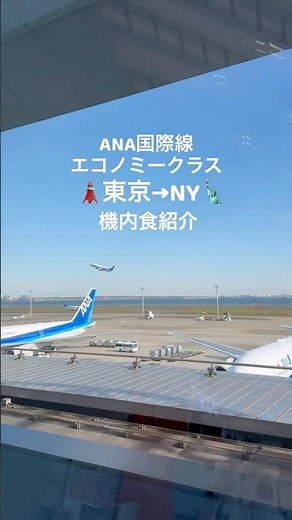 Introducing ANA international economy class in-flight meals 🗽🇺🇸 #newyork #newyorktrip #inflightme...