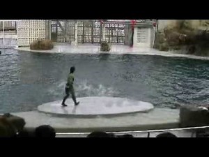 カマイルカショー－城崎マリンワールド