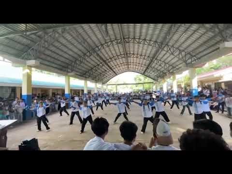 Our Performance Task (Champion 🏆)