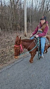 Damn it Jaybird go on I'm trying to get this joker motivated 🤣🤣🤣 | Amber Ashburn