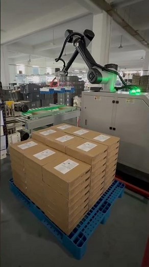 Cobot Palletizer | Triple-Box Handling for Efficient Pallet Loading