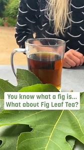 3.8K views · 50 reactions | As the weather cools down, warm up with fig leaf tea! Brandi shares some tips for making this natural brew.  Always consult your health care provider before adding plant material to your diet. #figleaftea #plantsmakepeoplehappy #sandiegobotanicgarden #sdbg | San Diego Botanic Garden | Facebook