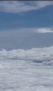 96 reactions · 11 shares | UFO CHILLS IN SKY, THEN SLIPS INTO A FOREST  #UFO #Sightings #Forest #Mystery #Aliens #ufos #sky #insane #bizarre #facebookviral | Visual Disturbance | Facebook