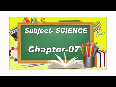 Chapter 4 Science7