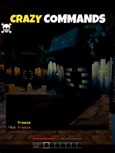 Minecraft Crazy Commands ☠️ #minecraft