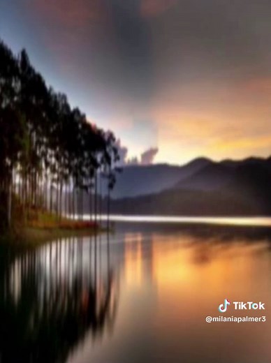 solarmovies: www.yahoo.com: