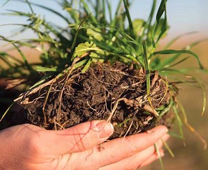 Dirty Biology- Understanding the Science of Soil