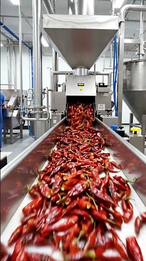 Inside Modern Chili Sauce Factory | Complete Processing & Bottling Line
