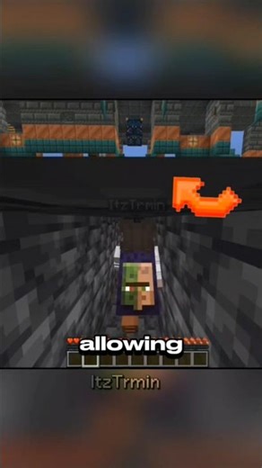 Minecraft X-ray without cheating | #hiddentips