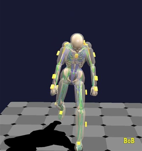 IMU motion data import