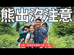 美國人氣第一國家公園：大煙山｜Great Smoky Mountain National Park: Bear Country｜Brandy’s List