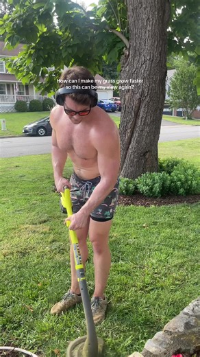 Tips for Healthier Grass Growth in Summer